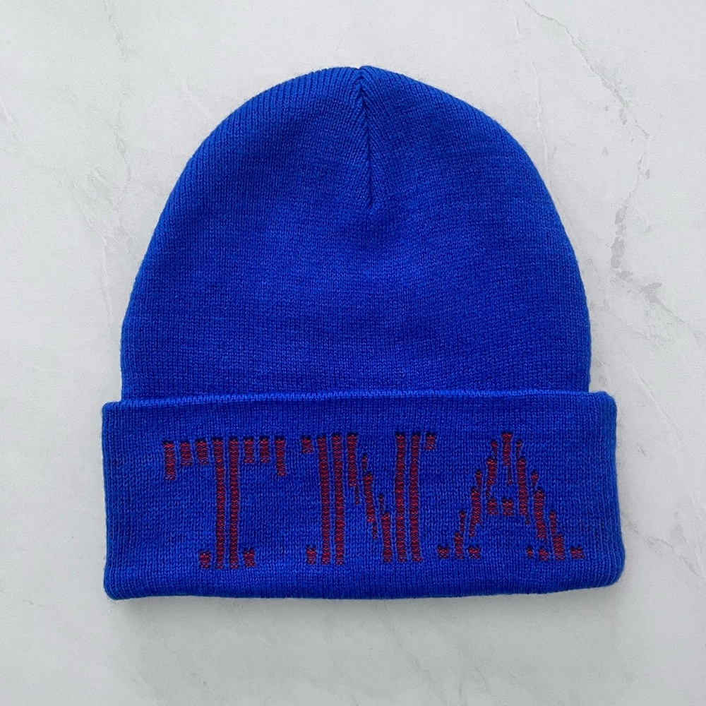 NWT Aritzia TNA Charley Beanie